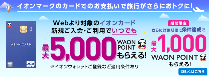 WEB限定 対象のカード新規ご入会・ご利用抽選で最大31,000円WAON POINT進呈