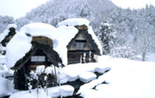 岐阜（高山・下呂・奥飛騨）旅行