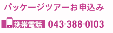 TEL:0433880103