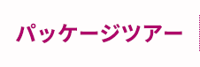 特典満載！パッケージツアー