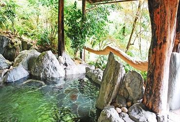 新祖谷温泉　ホテルかずら橋　　