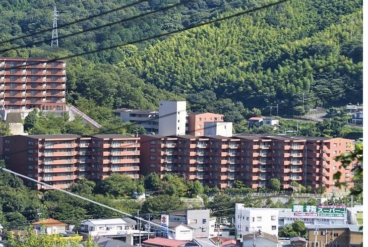 ウェルネスの森 伊東