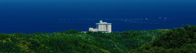 雨晴温泉 磯はなび