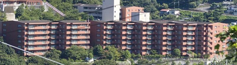 ウェルネスの森 伊東